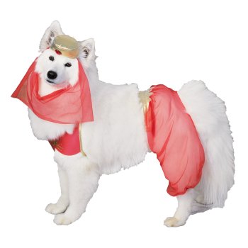 pet costumes