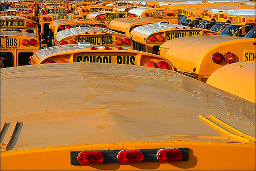 overhead shot of a bunch of parked yellow school buses