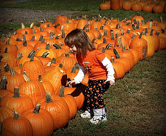 toddler girl at pumpkin patch 