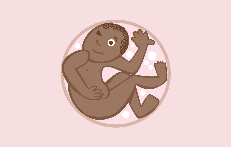 cute illustration of smiling fetus squished in a circle