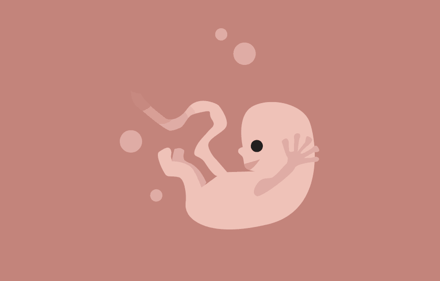 Weekly Pregnancy Calendar: Week Nine | Alpha Mom