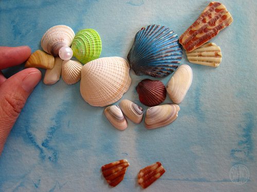 piecing together sea shell art 