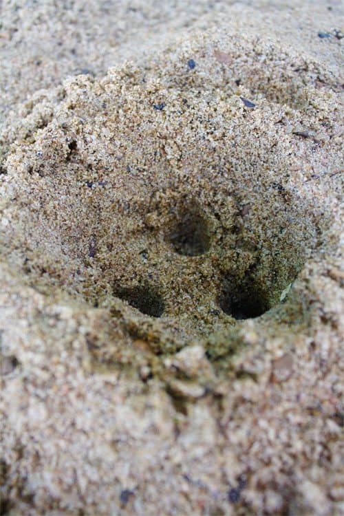 Sand well 