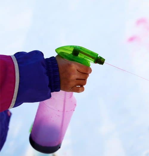 close-up of girl's hand as she sprays purple food dye from spray bottle into the white snow 
