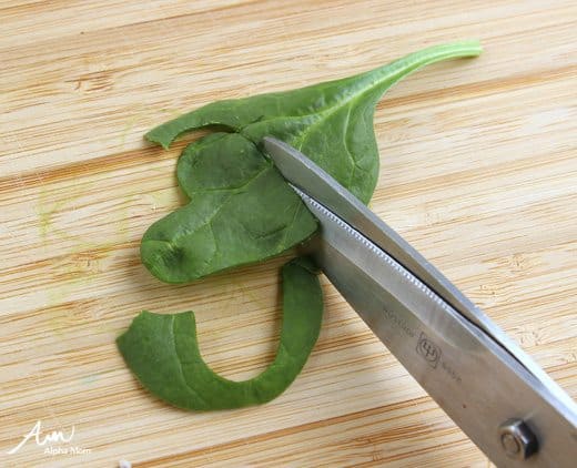 cutting spinach with scissors 