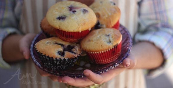 Greek Yogurt Blueberry Lemon Muffins Recipe (breakfast on the go) by Brenda Ponnay for Alphamom.com