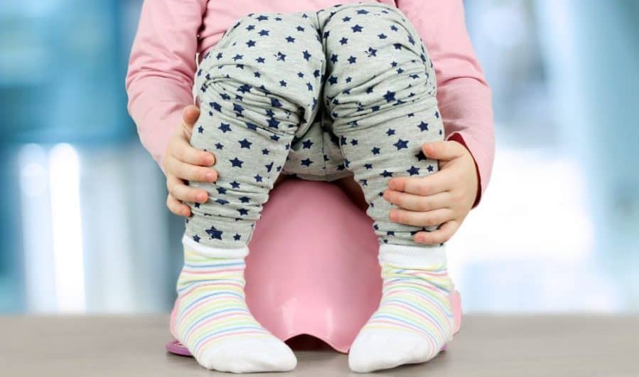 The Best Potty Chairs and Seats When You're in the Toilet Training Weeds