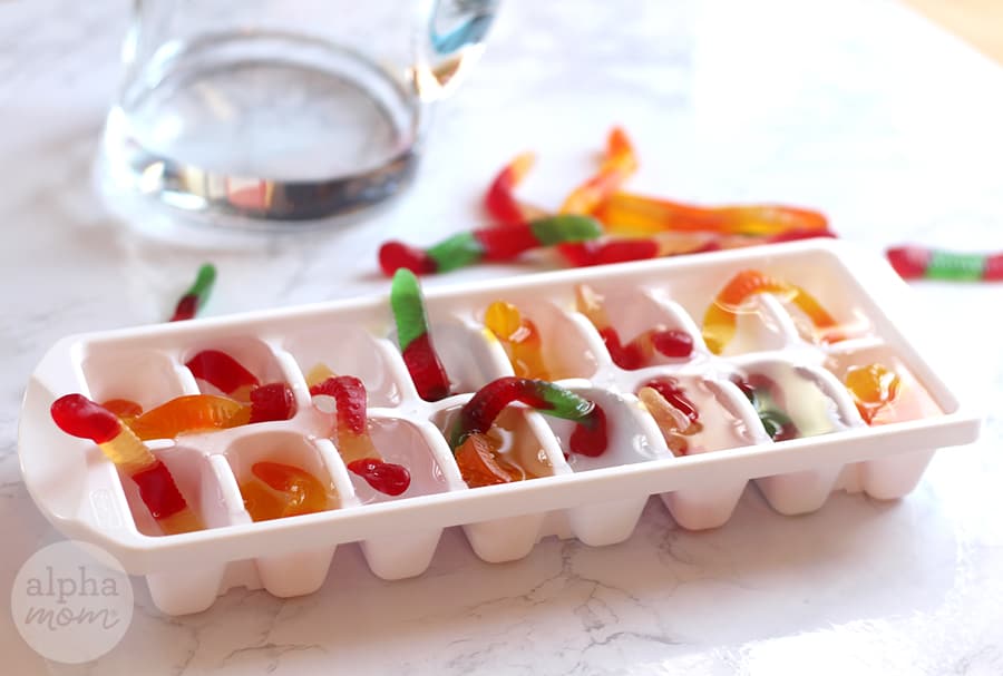 gummy worms in an ice tray for food craft 
