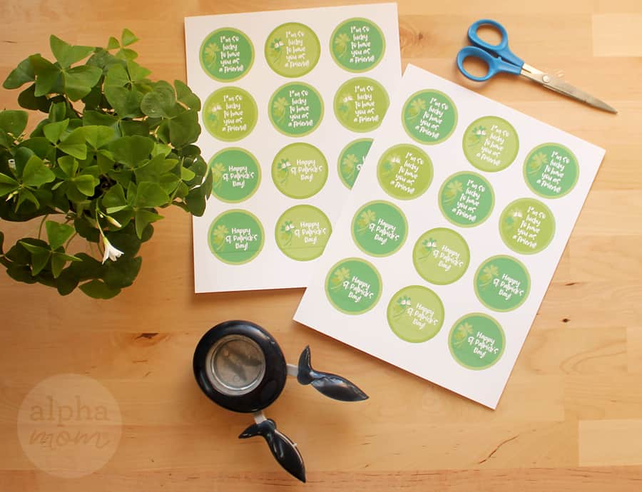 overhead photo of Happy St. Patrick's Day printables supplies and scissors, hole puncher and shamrock plant