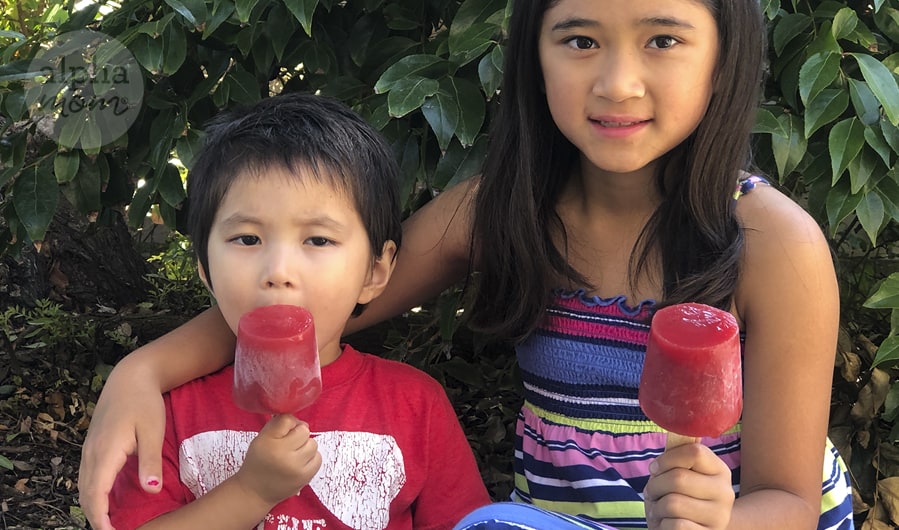 photo of young brother and sister holding their homemade strawberry watermelon popsicles