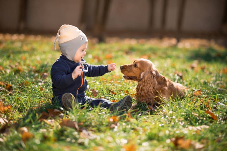 toddler boy sitting on the grass with a dog and pointing at it